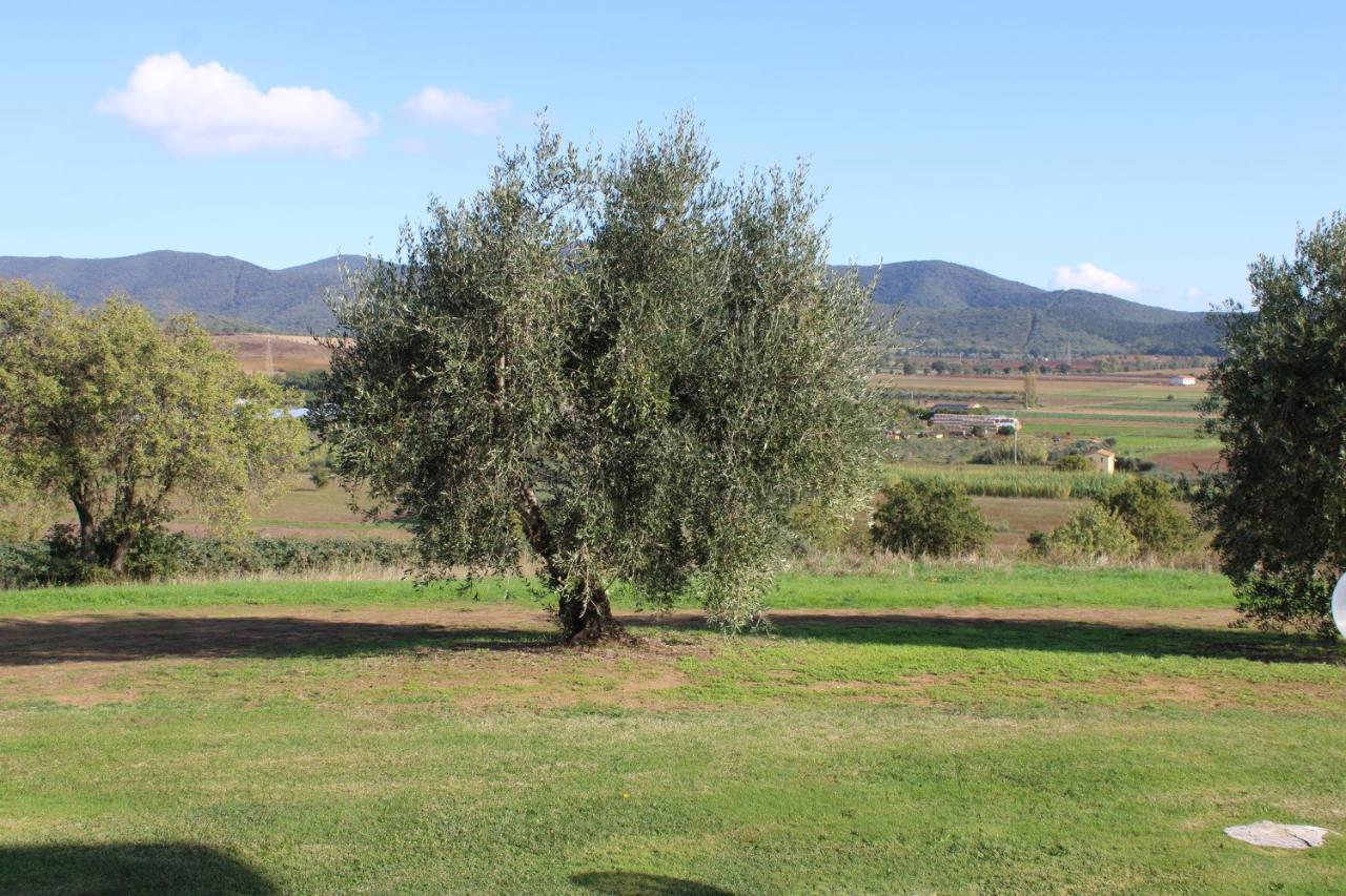 Agriturismo Il Montoto Villa Castiglione della Pescaia Dış mekan fotoğraf