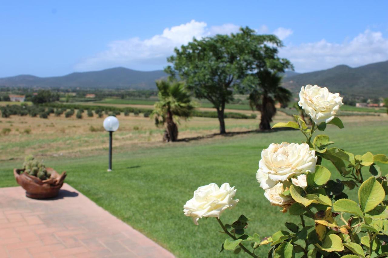 Agriturismo Il Montoto Villa Castiglione della Pescaia Dış mekan fotoğraf